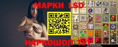 гашик Кимры