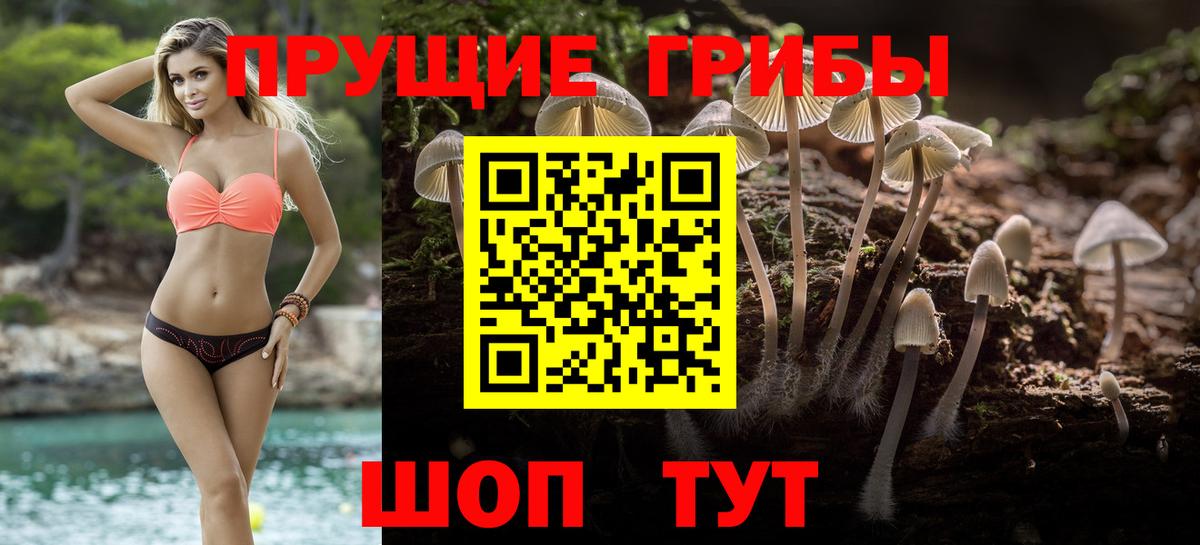 Галлюциногенные грибы Cubensis Подольск